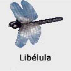 ISCA FISHTEX - LIBÉLULA