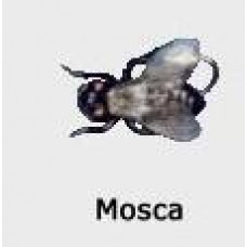 ISCA FISHTEX - MOSCA