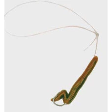 ISCA ARTIFICIAL MINHOCA-1 FISHTEX 